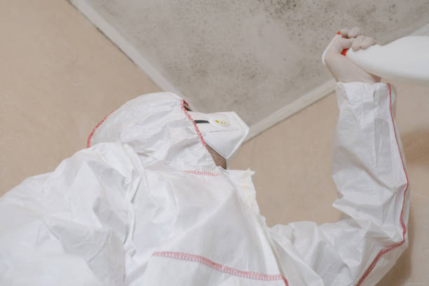 Best Certified Mold Removal  in North Spearfish, SD